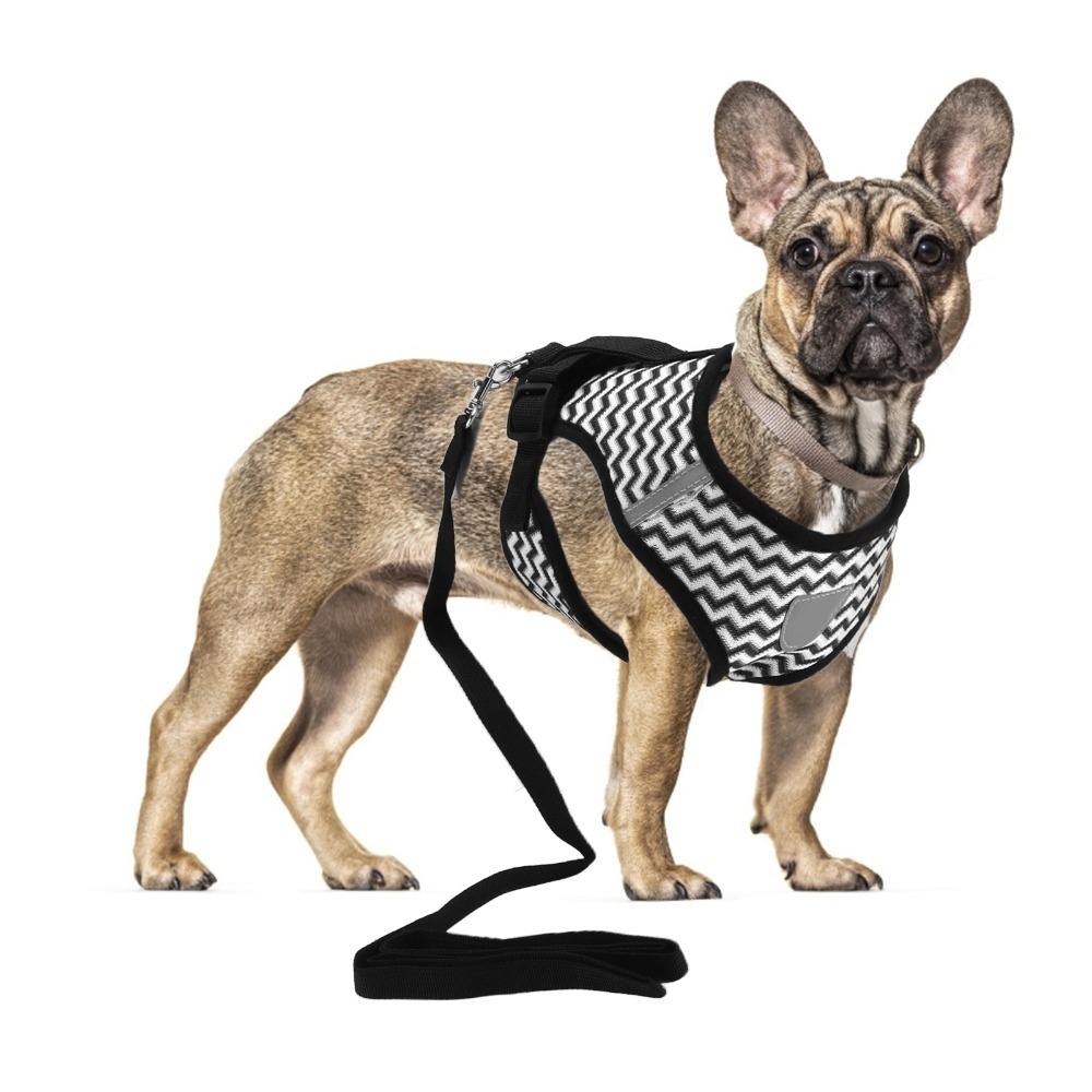 Mesh Fabric Pet Harness Set I- - đánh giá và giá Fabric Weight Set